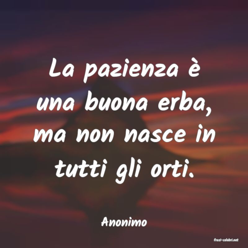 frasi di Anonimo
