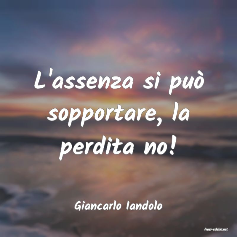 frasi di  Giancarlo Iandolo
