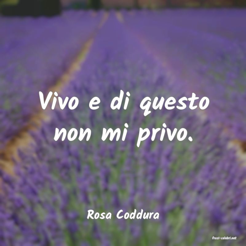frasi di  Rosa Coddura
