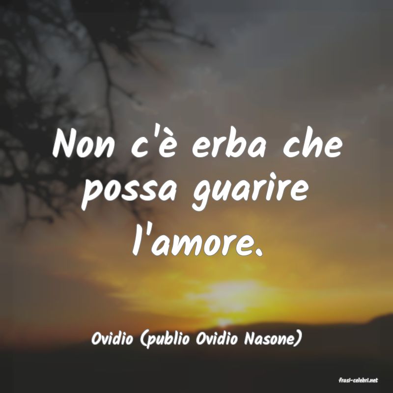 frasi di  Ovidio (publio Ovidio Nasone)

