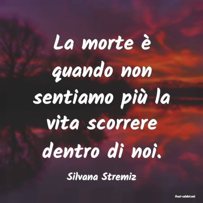 frasi di  Silvana Stremiz
