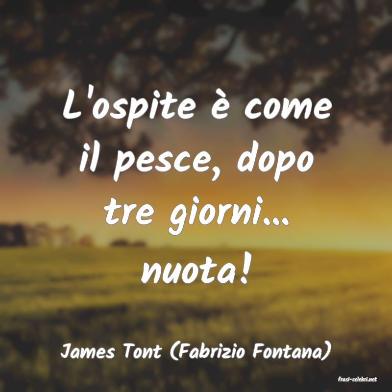 frasi di James Tont (Fabrizio Fontana)