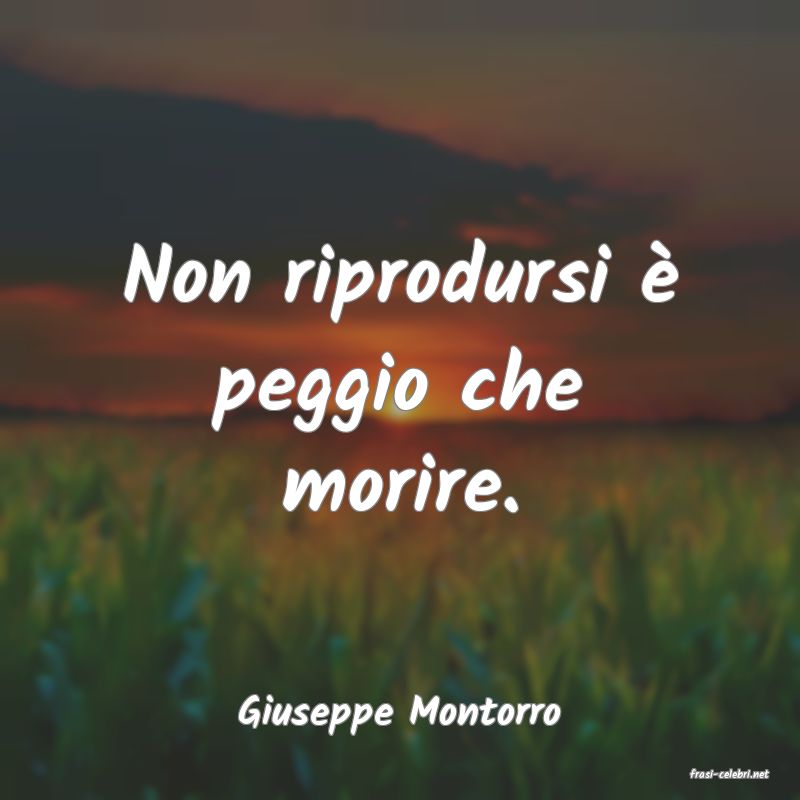 frasi di Giuseppe Montorro
