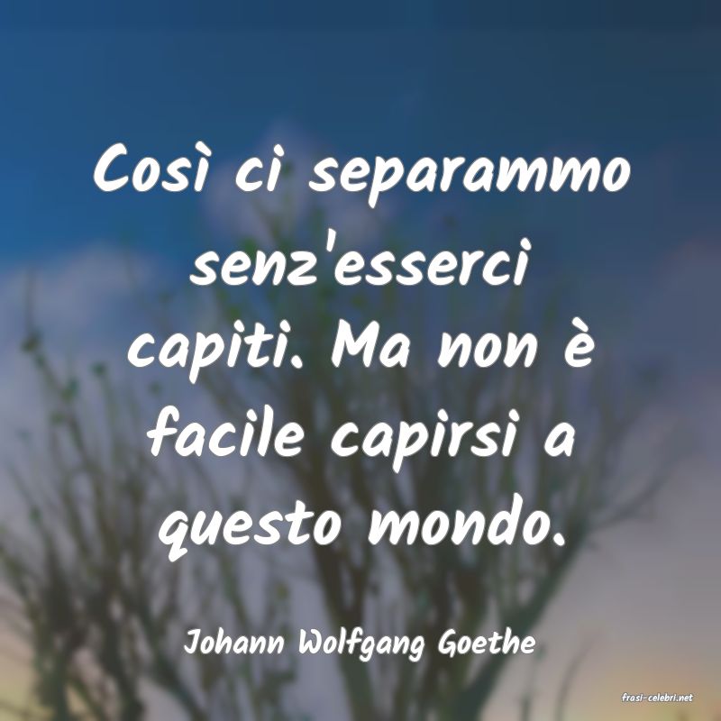 frasi di Johann Wolfgang Goethe