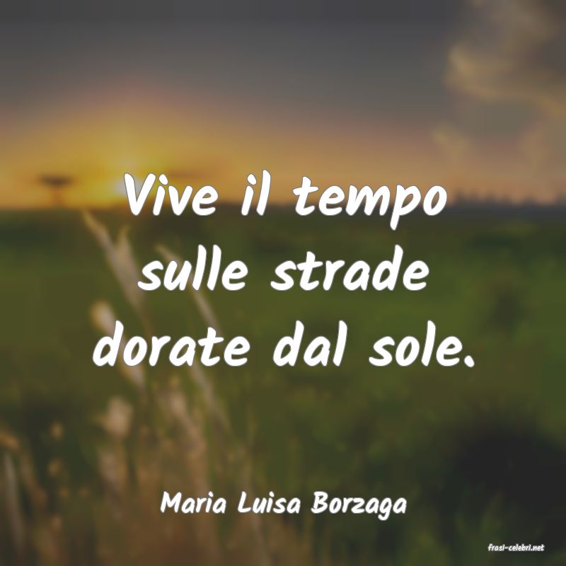 frasi di Maria Luisa Borzaga