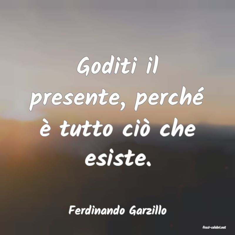 frasi di Ferdinando Garzillo