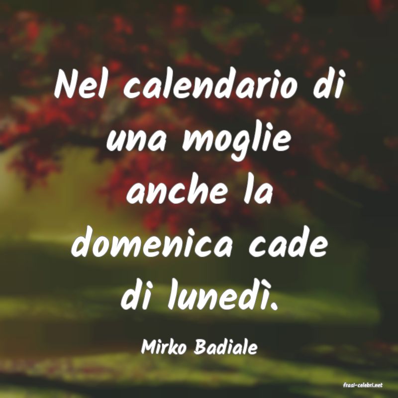 frasi di  Mirko Badiale
