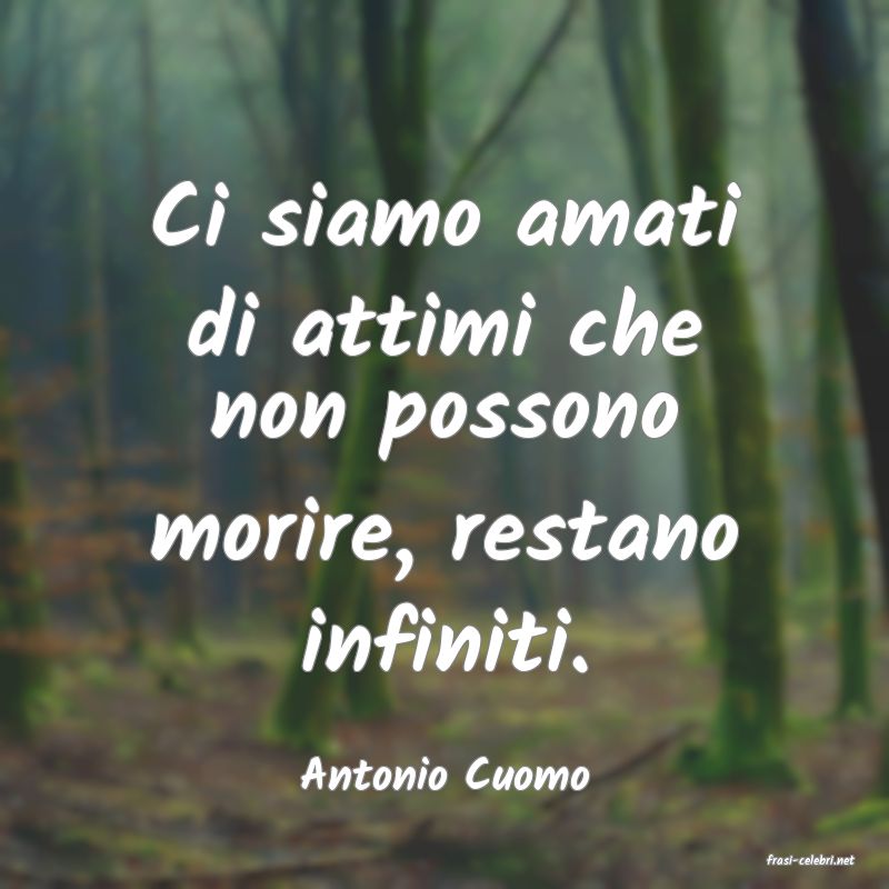 frasi di  Antonio Cuomo
