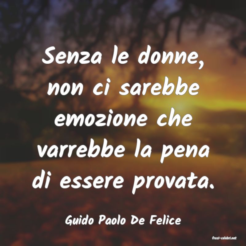 frasi di Guido Paolo De Felice