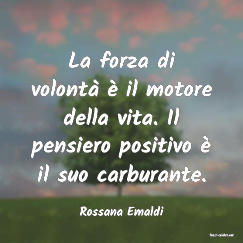 frasi di  Rossana Emaldi
