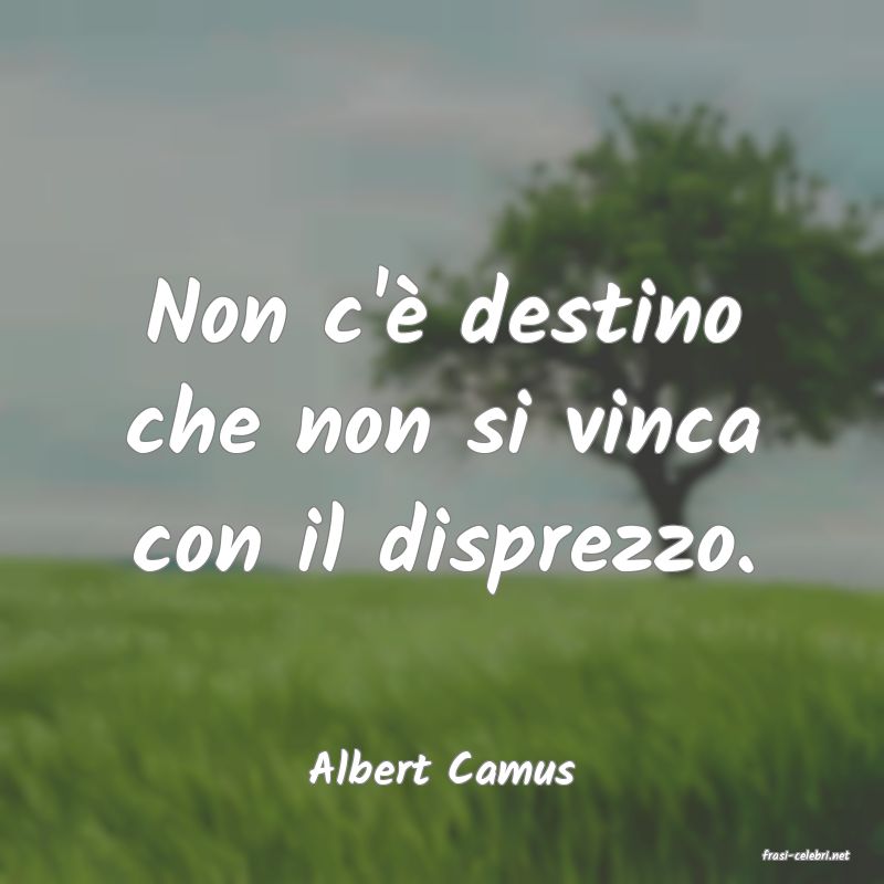 frasi di  Albert Camus
