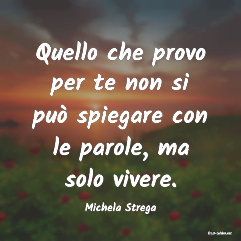 frasi di  Michela Strega
