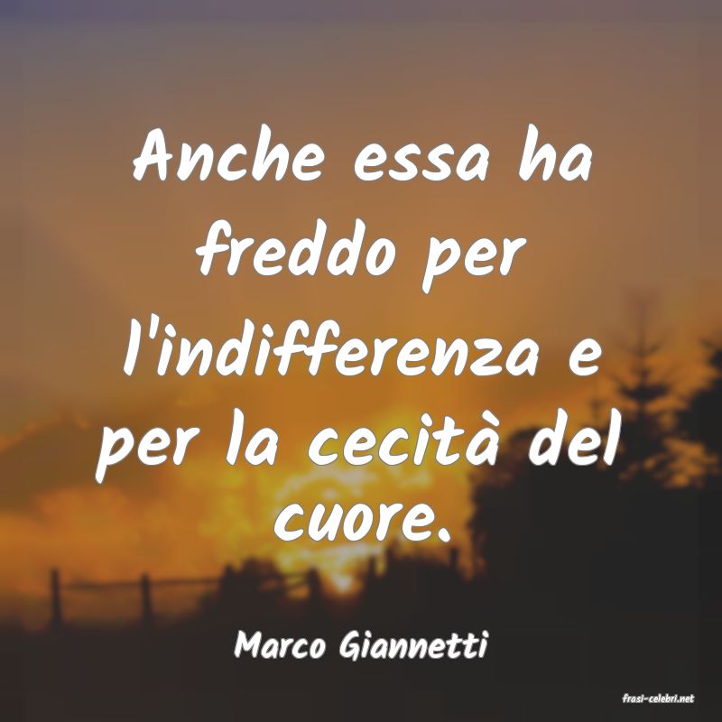 frasi di Marco Giannetti