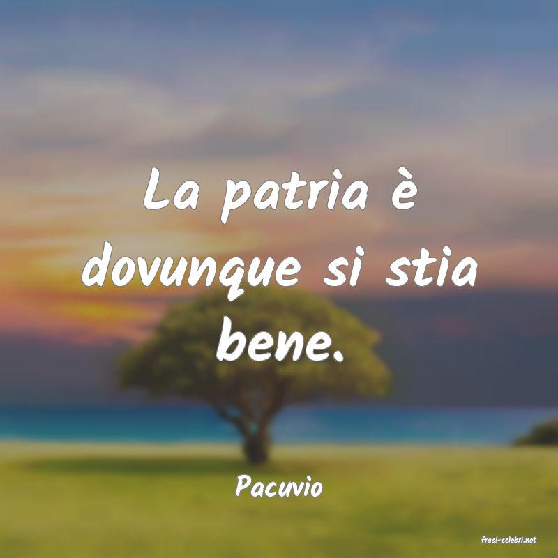 frasi di  Pacuvio
