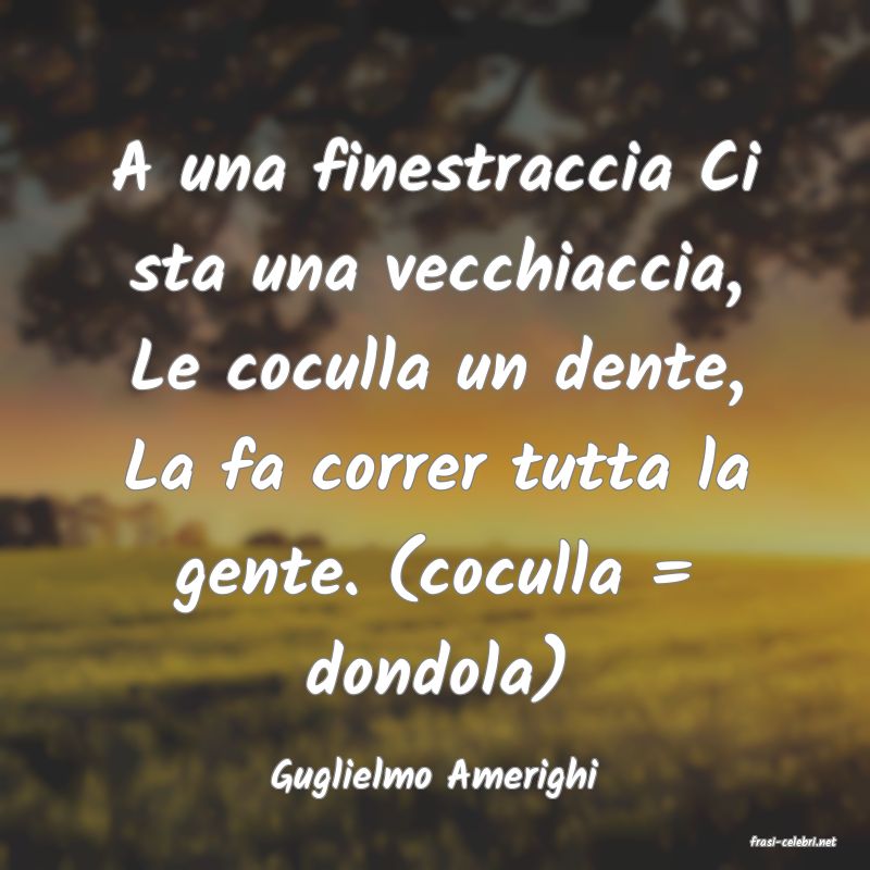 frasi di Guglielmo Amerighi