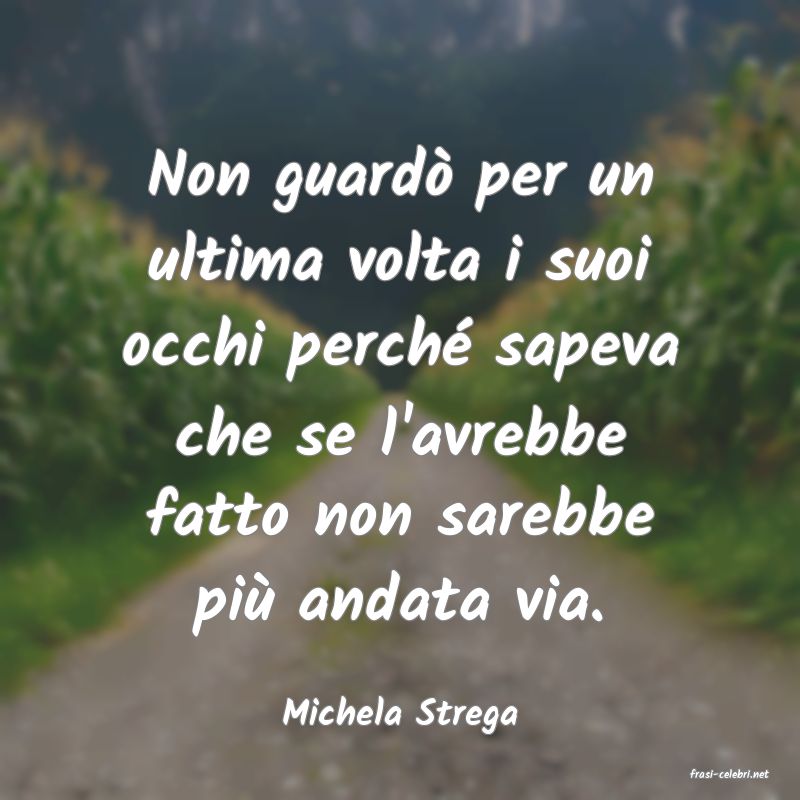 frasi di Michela Strega