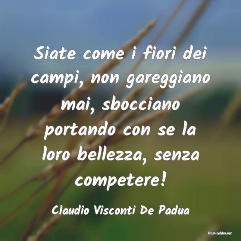 frasi di  Claudio Visconti De Padua
