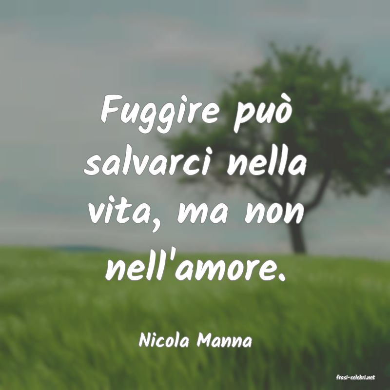 frasi di  Nicola Manna

