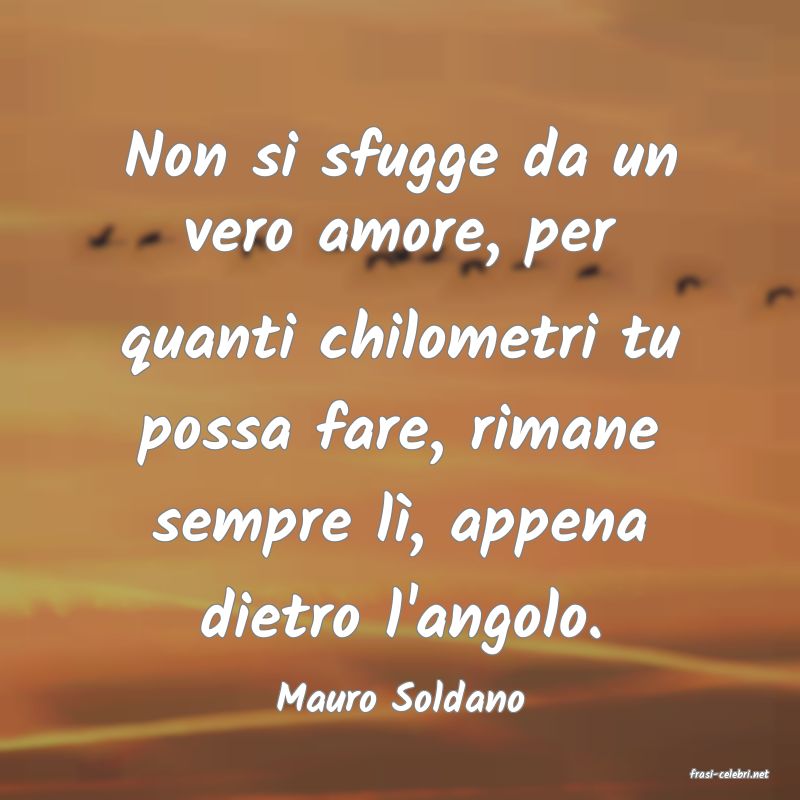 frasi di  Mauro Soldano
