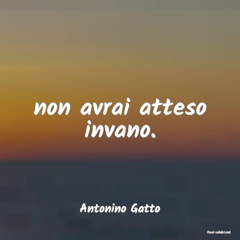frasi di  Antonino Gatto
