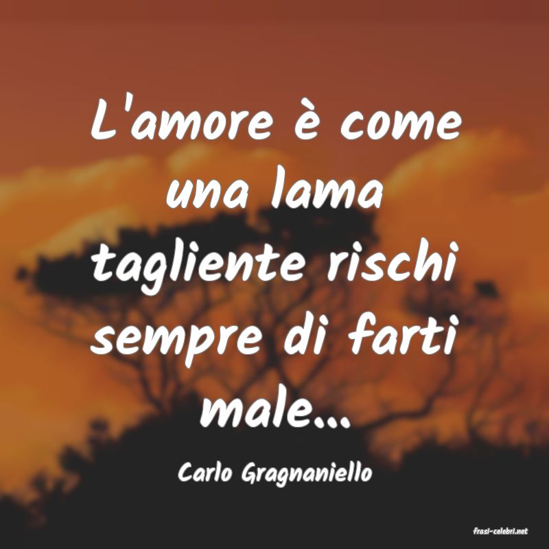 frasi di  Carlo Gragnaniello
