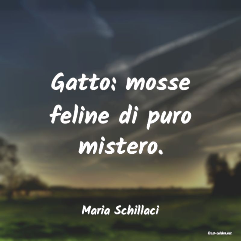 frasi di  Maria Schillaci
