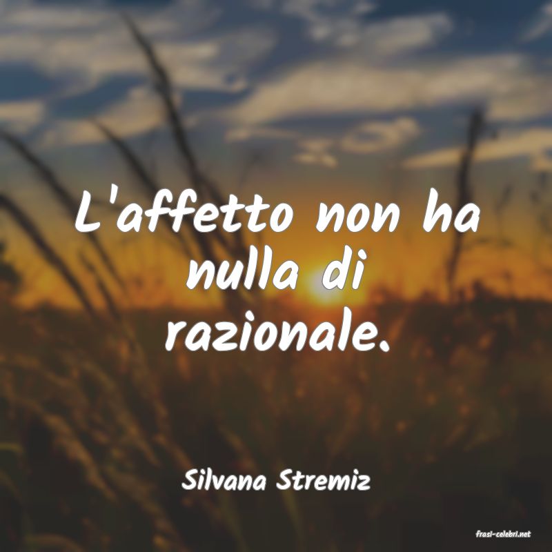 frasi di  Silvana Stremiz
