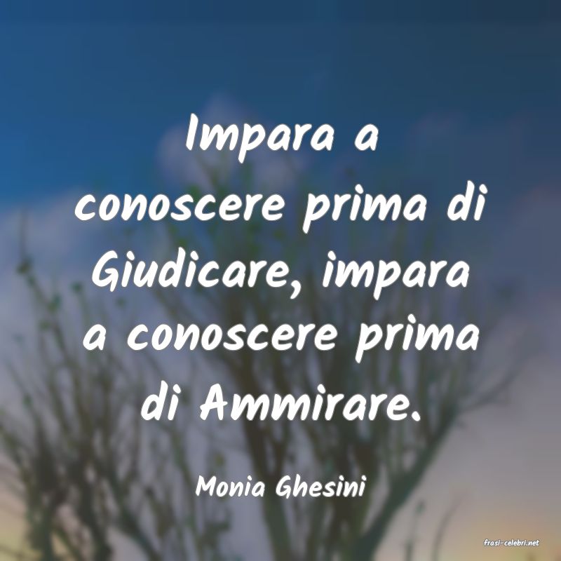 frasi di  Monia Ghesini
