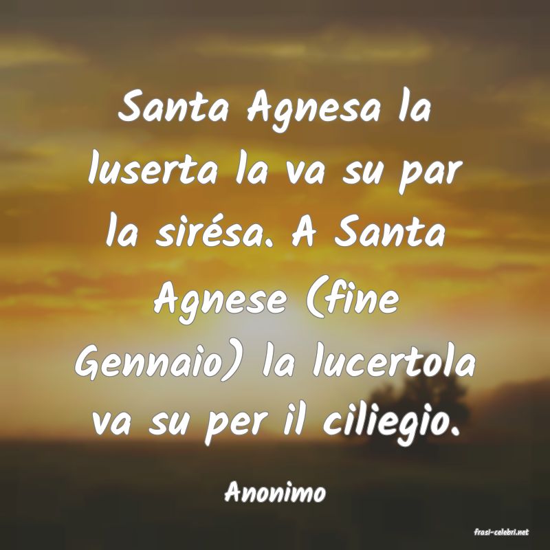 frasi di Anonimo