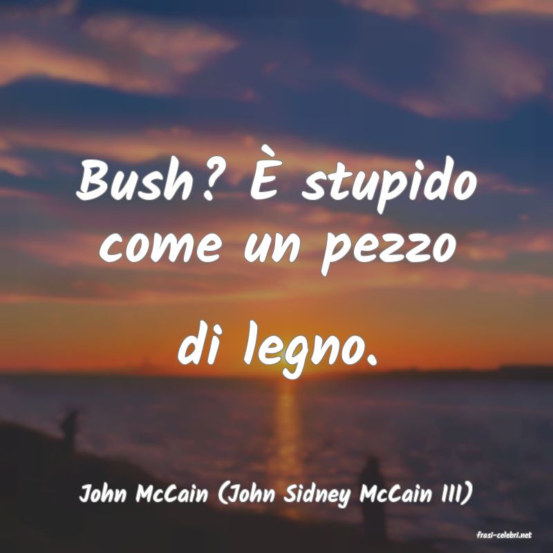 frasi di John McCain (John Sidney McCain III)