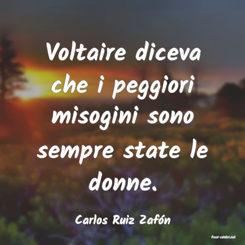 frasi di Carlos Ruiz Zafn
