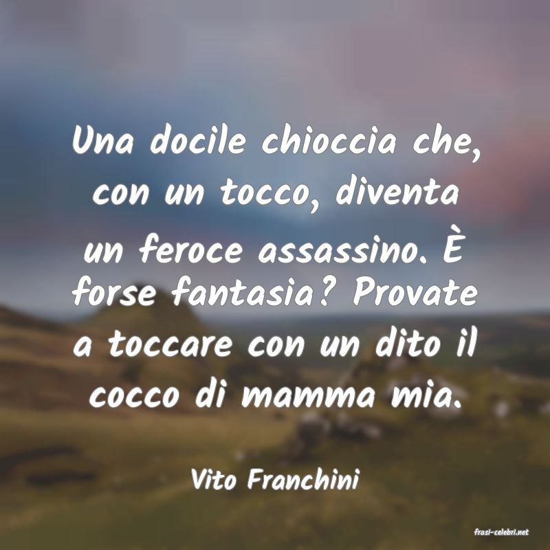 frasi di  Vito Franchini
