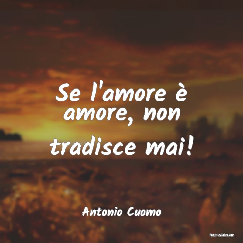 frasi di  Antonio Cuomo
