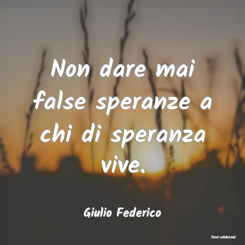 frasi di  Giulio Federico
