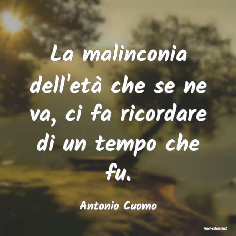 frasi di  Antonio Cuomo
