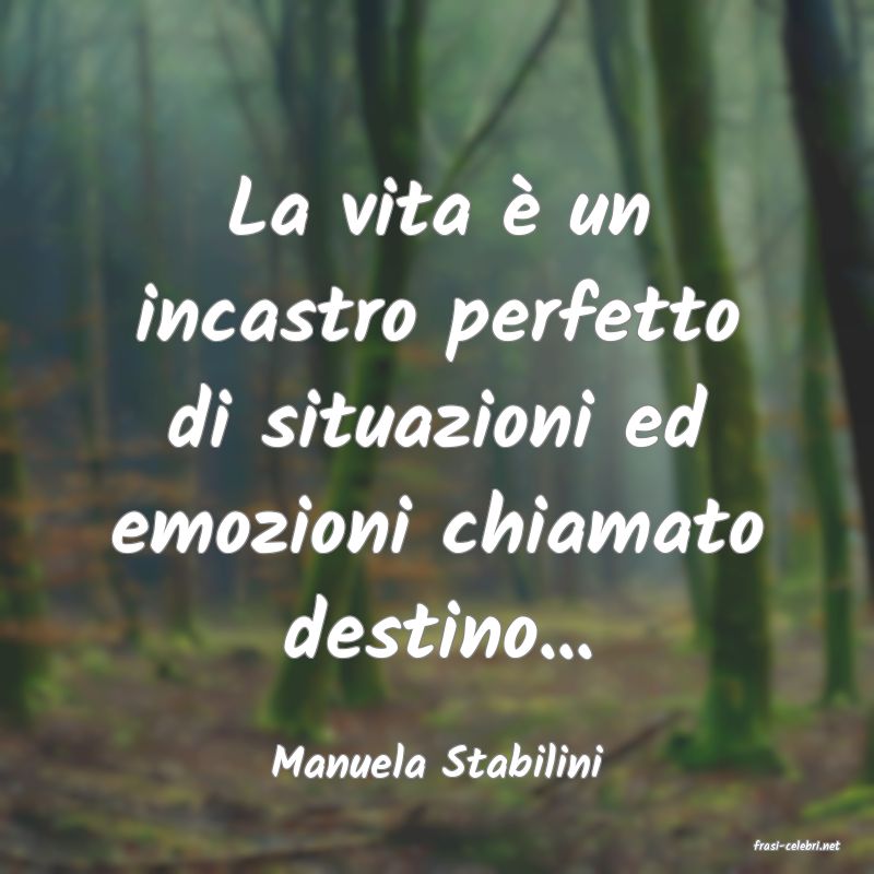 frasi di  Manuela Stabilini
