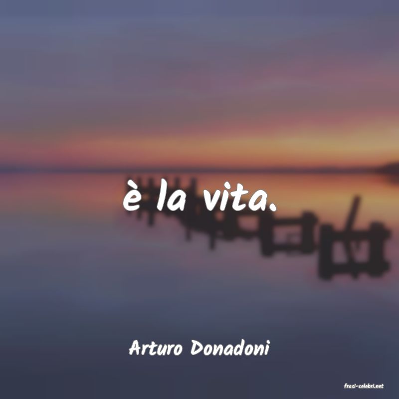 frasi di  Arturo Donadoni

