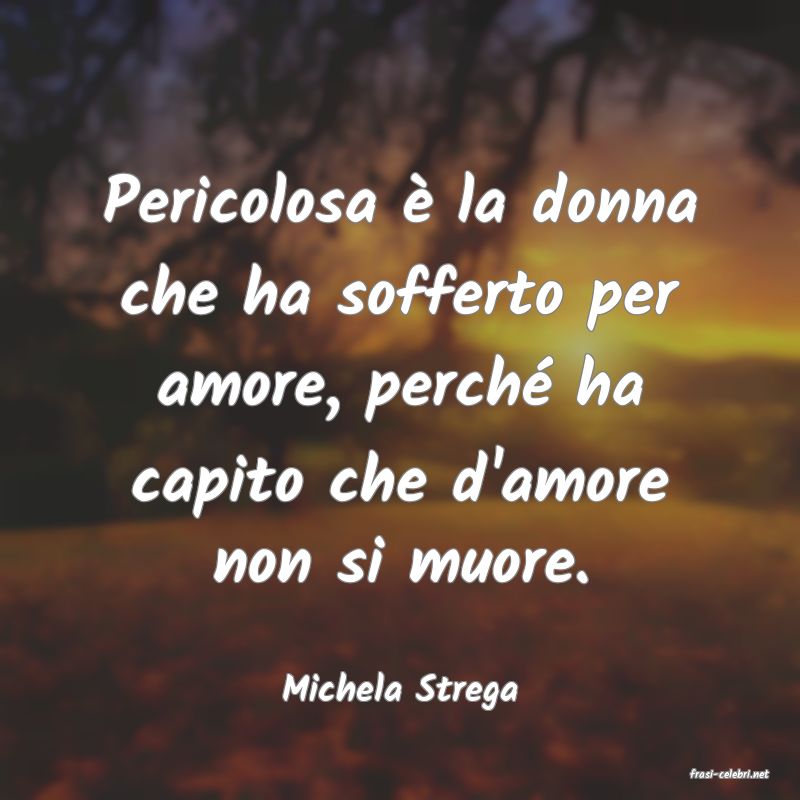 frasi di  Michela Strega
