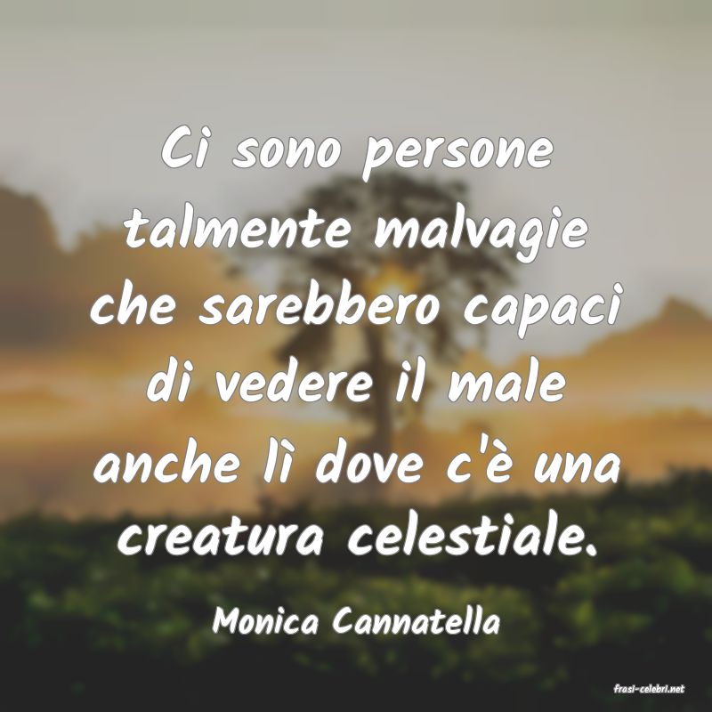frasi di  Monica Cannatella
