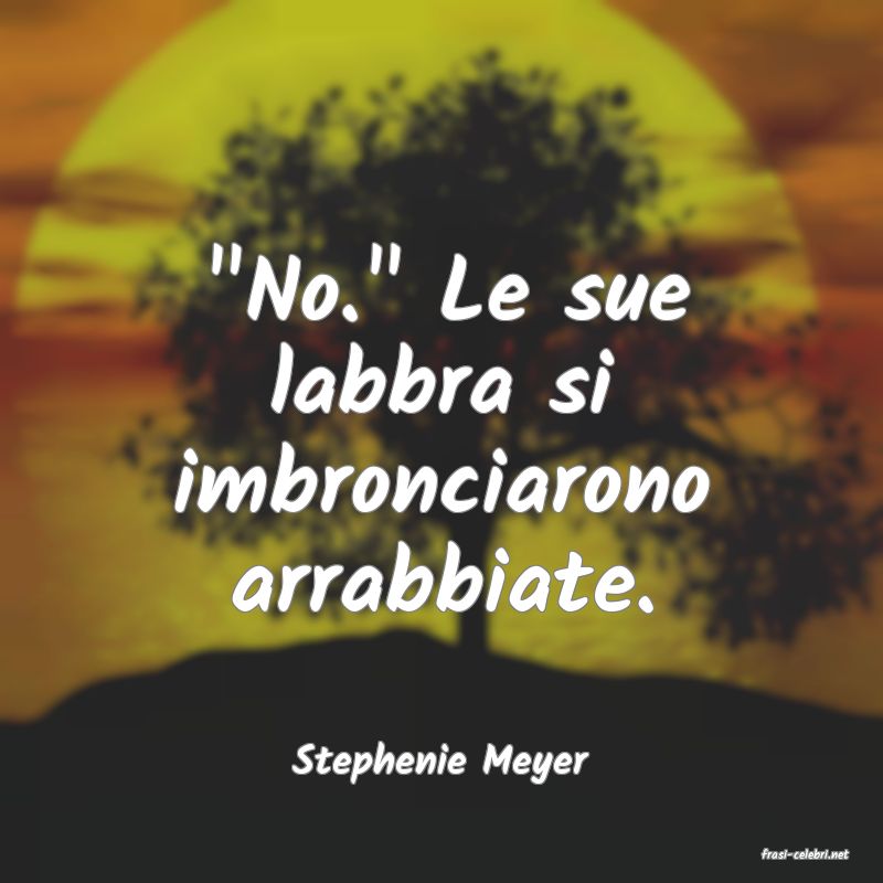 frasi di  Stephenie Meyer
