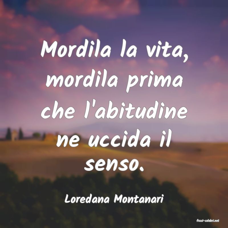 frasi di  Loredana Montanari
