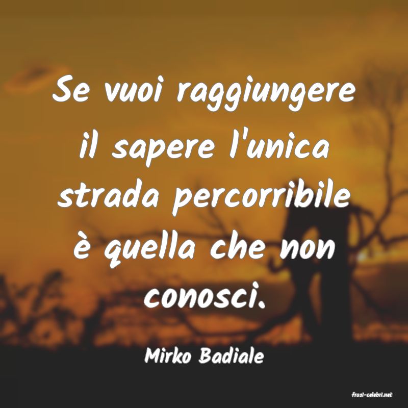 frasi di  Mirko Badiale
