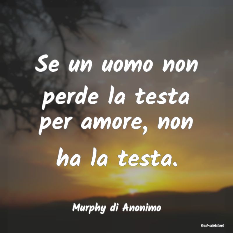 frasi di Murphy di Anonimo