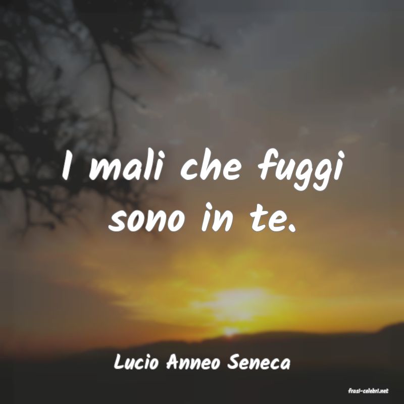 frasi di Lucio Anneo Seneca