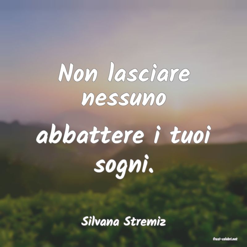 frasi di Silvana Stremiz