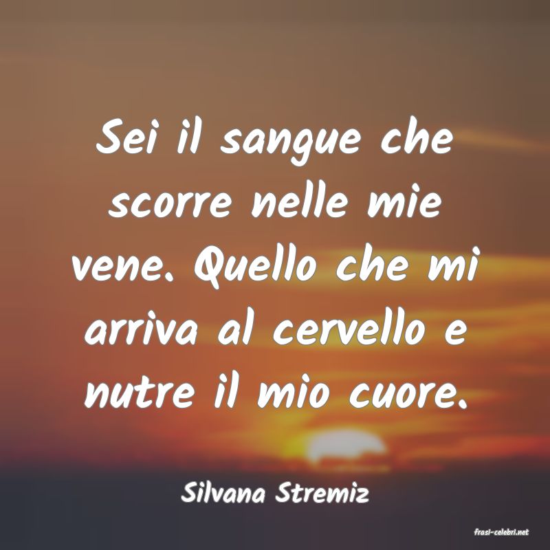 frasi di Silvana Stremiz