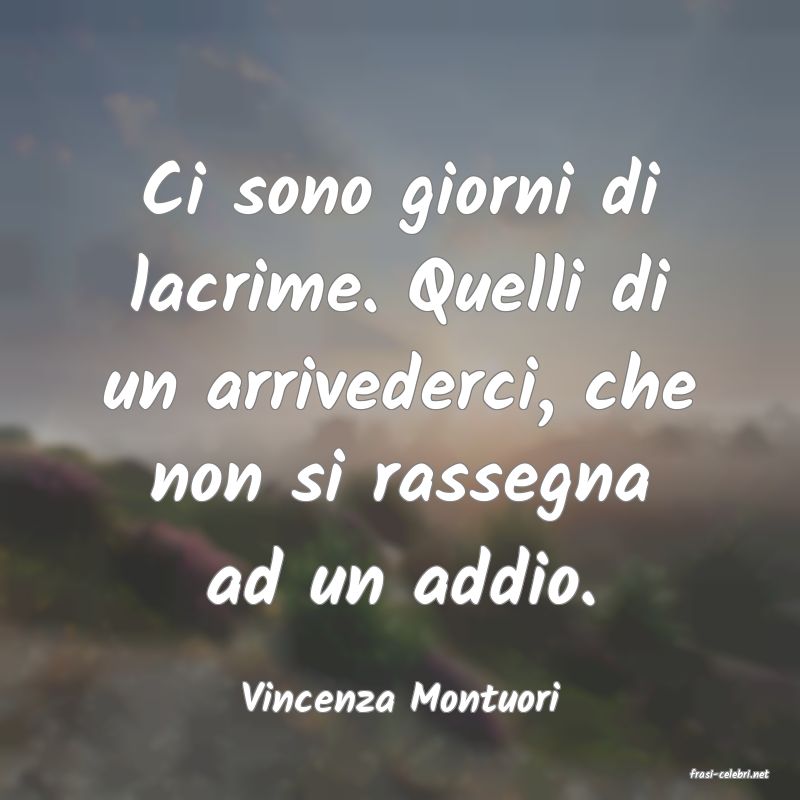 frasi di  Vincenza Montuori
