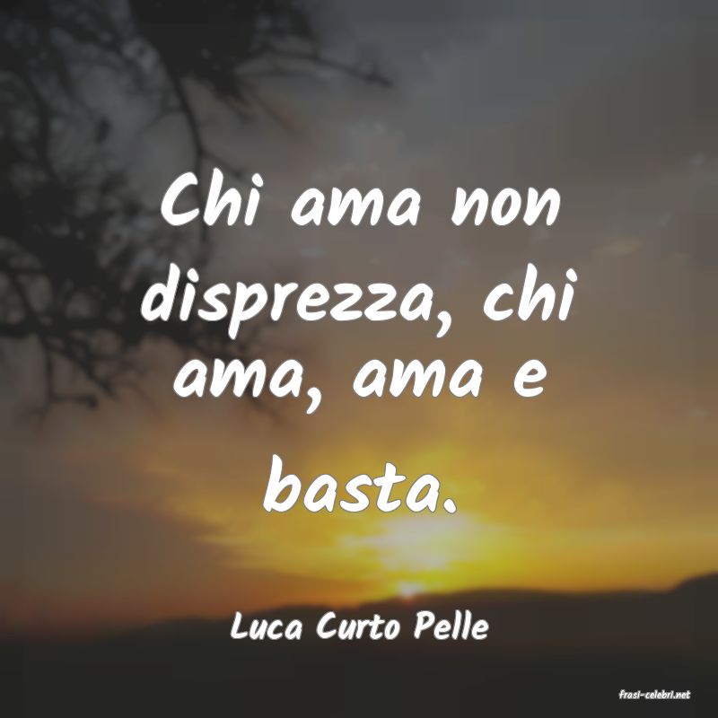 frasi di  Luca Curto Pelle
