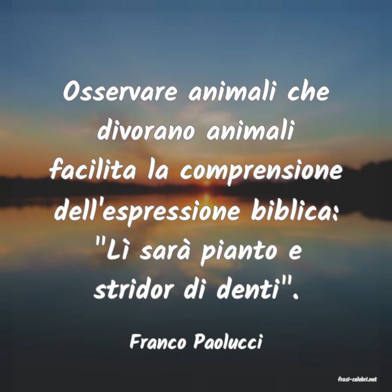 frasi di  Franco Paolucci
