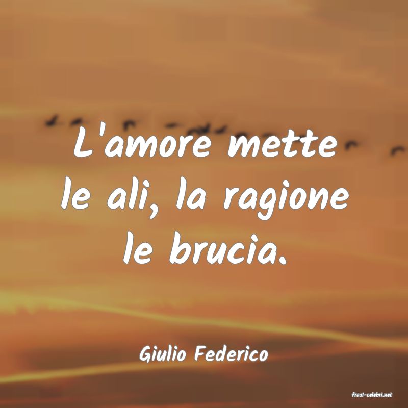 frasi di  Giulio Federico
